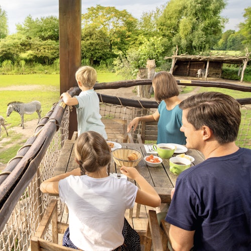 С чего начать планирование беременности: пошаговый чек-лист С чего начать планирование беременности: пошаговый чек-лист